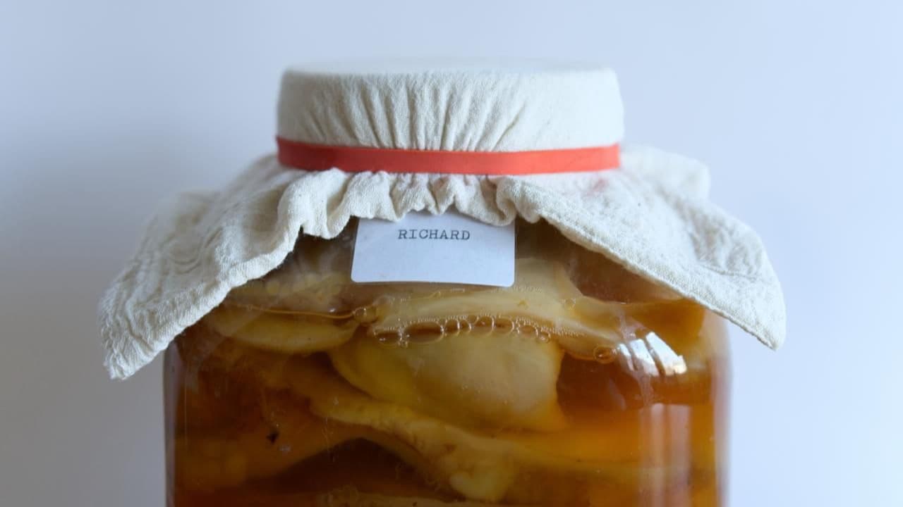 Fermenta Collective: Brew Your Own Kombucha